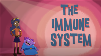 Immune System 